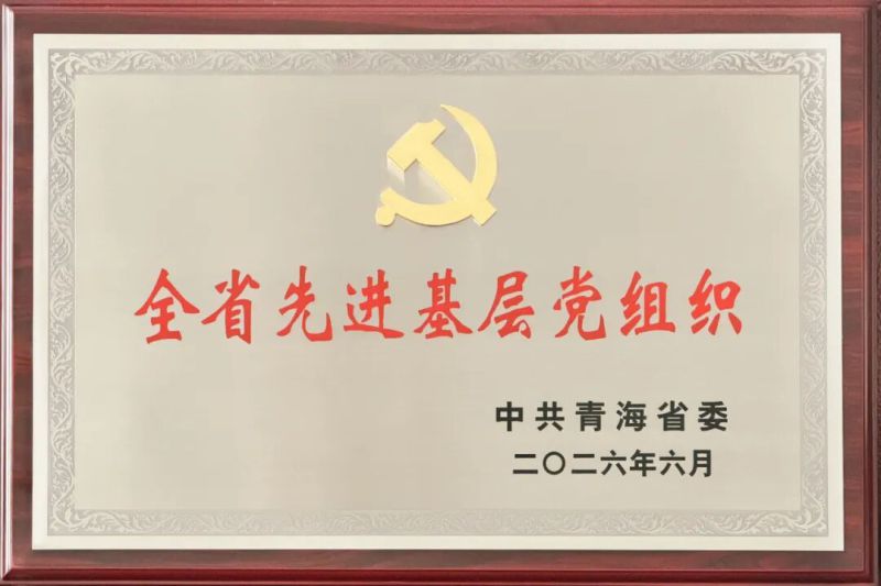 喜報(bào)！省物產(chǎn)集團(tuán)黨委及所屬集體個(gè)人榮獲全省和省國資委系統(tǒng)&ldquo;兩優(yōu)一先&rdquo;表彰