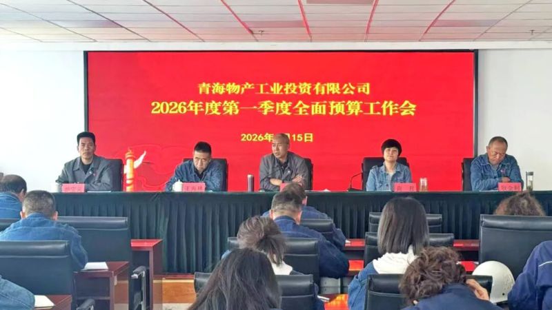 工投公司召開一季度預算執行情況分析會