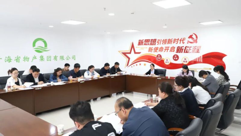 集團紀委召開&ldquo;三化&rdquo;建設年行動工作推進會