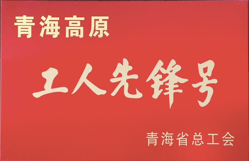 物產(chǎn)工投公司電解二車間被命名青海高原&ldquo;工人先鋒號&rdquo;