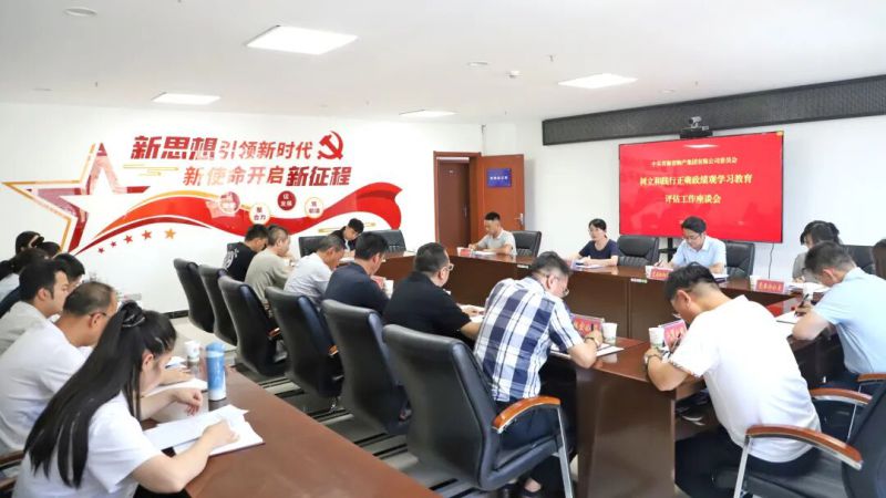 集團黨委召開樹立和踐行正確政績觀學習教育評估工作座談會