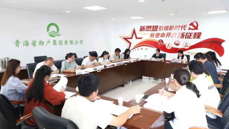 集團紀委召開&ldquo;三化&rdquo;建設年行動工作推進會