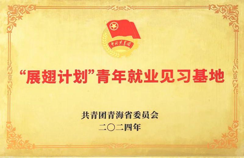 物產(chǎn)工投公司被團省委授予&ldquo;展翅計劃&rdquo;首批青年就業(yè)見習(xí)基地
