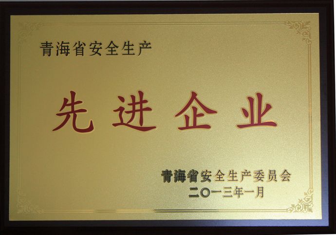 青海物產榮獲&ldquo;2012年度安全生產先進企業&rdquo;榮譽稱號